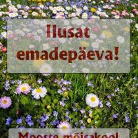 Ilusat emadepäeva!